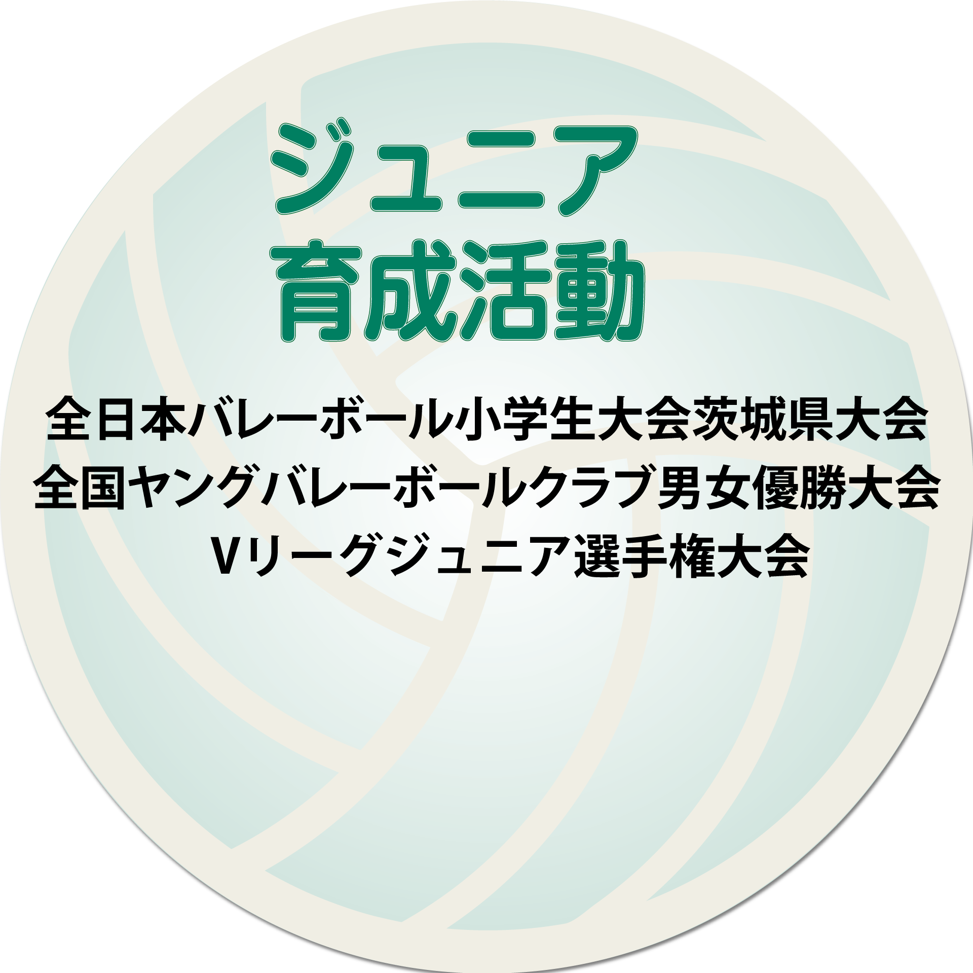 サンガイアの活動ジュニア育成活動 サンガイアの活動ジュニア育成活動