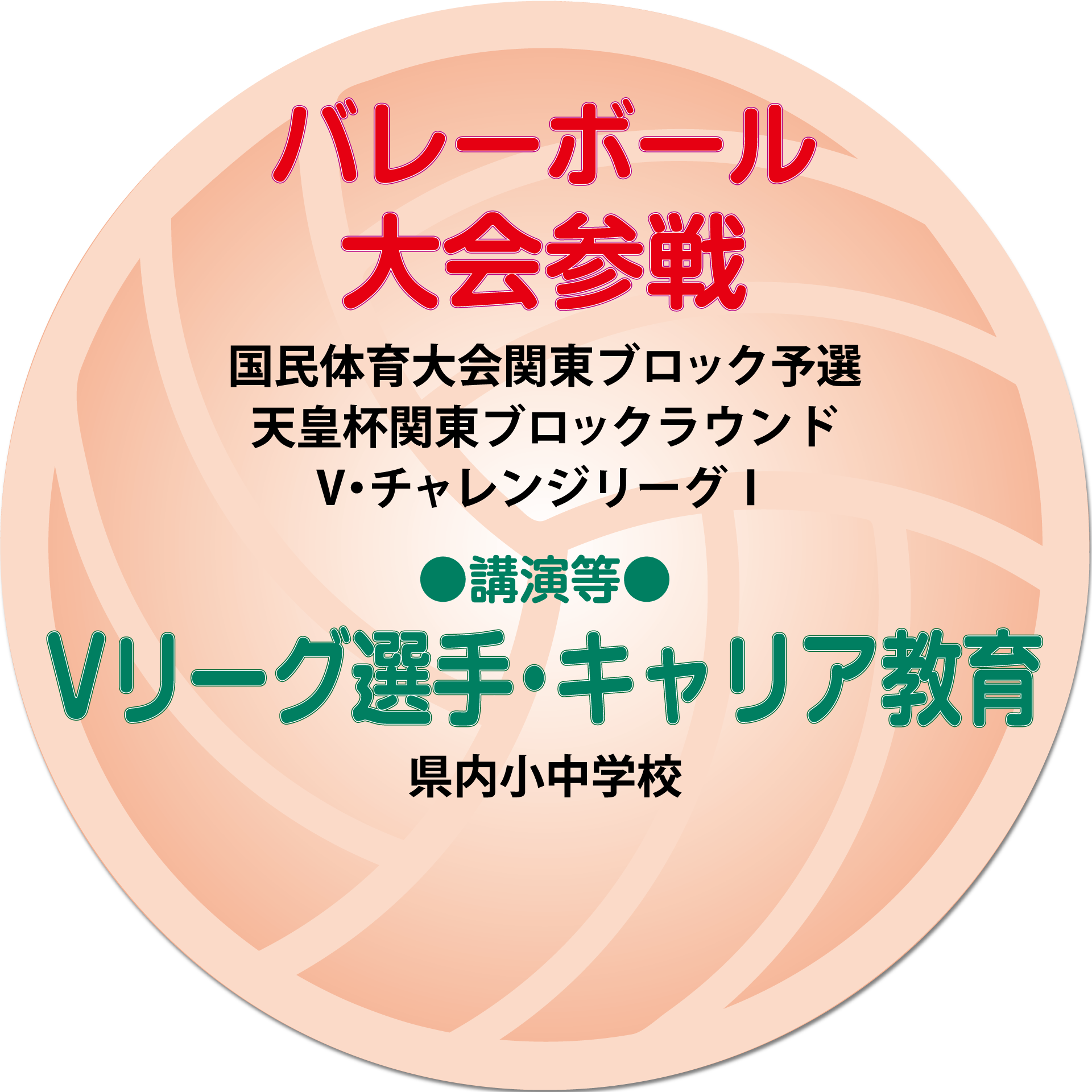 サンガイアの活動 バレーボール大会参戦 サンガイアの活動 バレーボール大会参戦