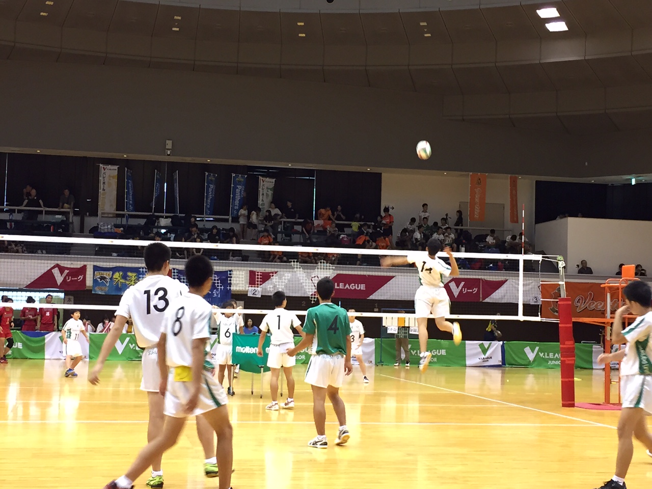 Vリーグジュニア選手権大会 Vリーグジュニア選手権大会